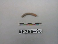 藏品(紅色泥質陶環殘件)的圖片